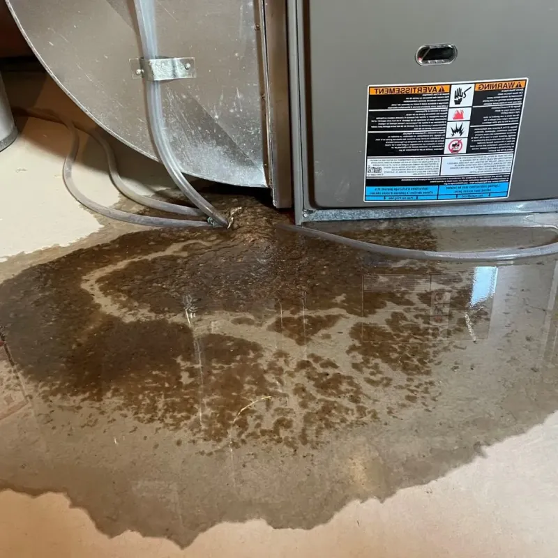 Pipe Burst and Leak Restoration in East La Mirada, CA